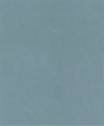 طقمُ أوراقِ سنفرةٍ يدويةٍ PRO C344 wet and dry مقاس 230 × 280 مم من حبيبات 1200 ومن 100 قطعة طقمُ أوراقِ سنفرةٍ يدويةٍ PRO C344 wet and dry مقاس 230 × 280 مم من حبيبات 1200 ومن 100 قطعة